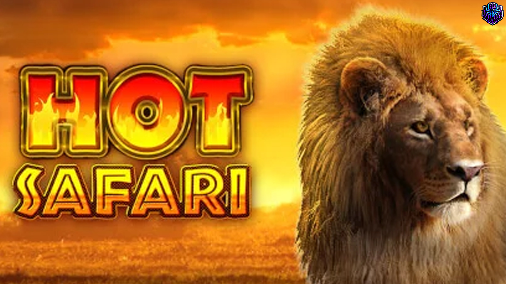 Sejarah Hot Safari dan 5 Inovasi yang Membuat Game Populer